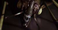 alien-fly.png