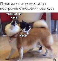 images.jpg