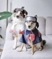 IMG6713.jpeg