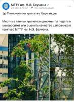 IMG6940.jpeg