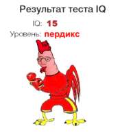 16979269026360.jpg