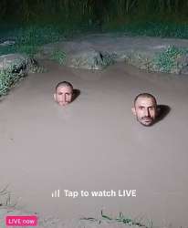 IMG20250404184434815.jpg