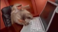 tmprsx5eoww.mp4