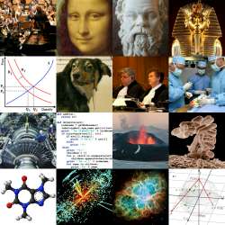 Academicdisciplines(collage).jpg