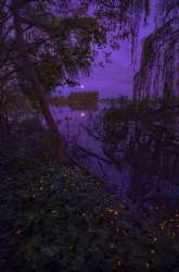 wp12757549-aesthetic-purple-scenery-wallpapers.jpg