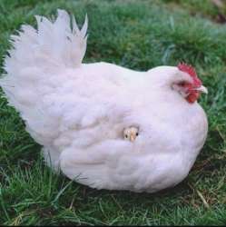 IMG4539.jpeg