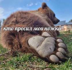 QgBBKRZmsUI2lHV-v6q9SkgaKo6W5oBD6VmhPKPTbCDqELfWd6dfV2U086dxkxnq9pWm8b5IrMzU1NiKT2eq5A.jpg