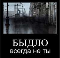 16675428012140.png