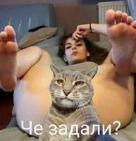 15671823254460.jpg
