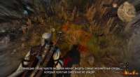 witcher-senses.jpg
