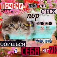 14636894901542.jpg