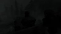 156983580212182256.webm
