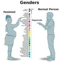 15655089075490.jpg