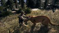 screenshot0047.jpg