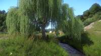 Kingdom Come  Deliverance Screenshot 2020.02.27 - 20.56.06.[...].png