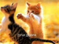 luchi-dobra-533x400.jpg