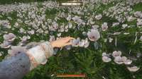 Kingdom Come  Deliverance Screenshot 2020.03.07 - 18.01.23.[...].png