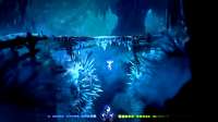 oriandthewillofthewisps-pc20200317200619868.jpg