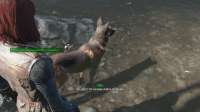Fallout 420200319191408.jpg