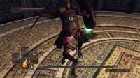 Dark Souls II Screenshot 2020.03.30 - 15.38.55.00.png
