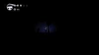 Hollow Knight Screenshot 2020.03.31 - 21.36.34.58.png