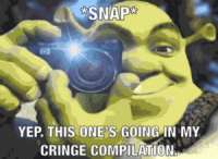 300px-ShrekCringe.gif