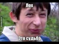 hqdefault.jpg