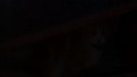 farewell.webm