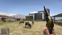 GTA520200408080728817.jpg