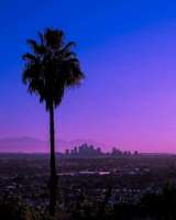 952466613previewcaliforniadreaming.officialByd8NH6nE9X.jpg