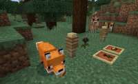 1572420317minecraft-113-android-full.jpg