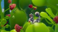 Hungry for Berries copy.jpg