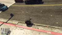 15028964578.mp4