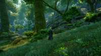 Dragon Age  Inquisition Screenshot 2020.04.10 - 14.08.03.65.png