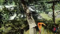 1theforest.jpg