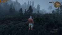 The Witcher 3 Screenshot 2020.02.19 - 19.43.08.16.png