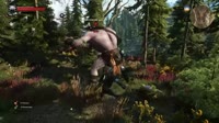 The Witcher 3 05.23.2015 - 15.16.27.12.DVR.webm