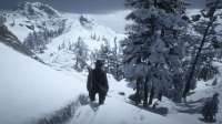 RDR2 2019-11-05 21-49-39-388.jpg