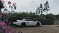 Forza Horizon 4  (1).jpg