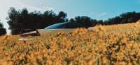 Forza Horizon 4  (5).jpg