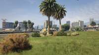 GTA520200416170635373.jpg