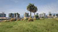 GTA520200416170650315.jpg