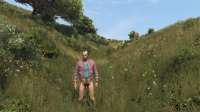 GTA520200416172245201.jpg
