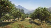 GTA520200416173639016.jpg