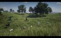 RDR220191108063759501.jpg