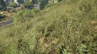 GTA520200416202823071.jpg
