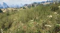 GTA520200416202955110.jpg