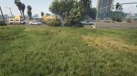 GTA520200416205258680.jpg