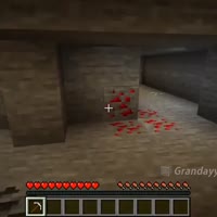 15354665.mp4