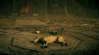 ACOdyssey 2020-04-15 16-02-43-090.jpg